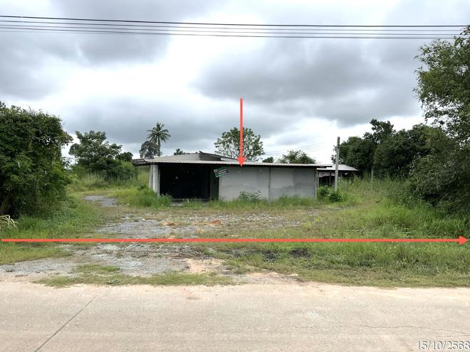 รูป บ้านเดี่ยว สำหรับขาย - บ้านไร่ ลาดยาว นครสวรรค์ - รูปที่ 1/44