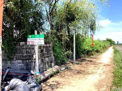 Land for sale Petchburi : LAND for sale  Bang Chan Muang Phetchaburi Petchburi
