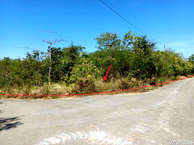 ที่ดิน ปากช่อง โคราช : ที่ดินว่างเปล่า สำหรับขาย ภูริพิมาน ปากช่อง ปากช่อง นครราชสีมา