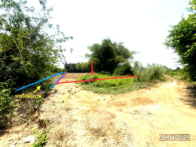 Land for sale Muang Phichit Phichit : LAND for sale  Dong Pa Kham Muang Phichit Phichit