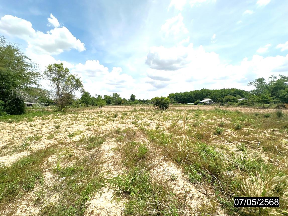 รูป ที่ดินว่างเปล่า สำหรับขาย - รอบเมือง เมืองร้อยเอ็ด ร้อยเอ็ด - รูปที่ 14/20