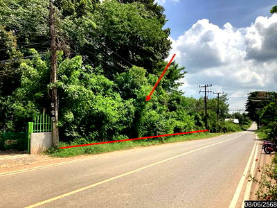 Land for sale Sakon Nakhon : LAND for sale  Song Dao Song Dao Sakon Nakhon