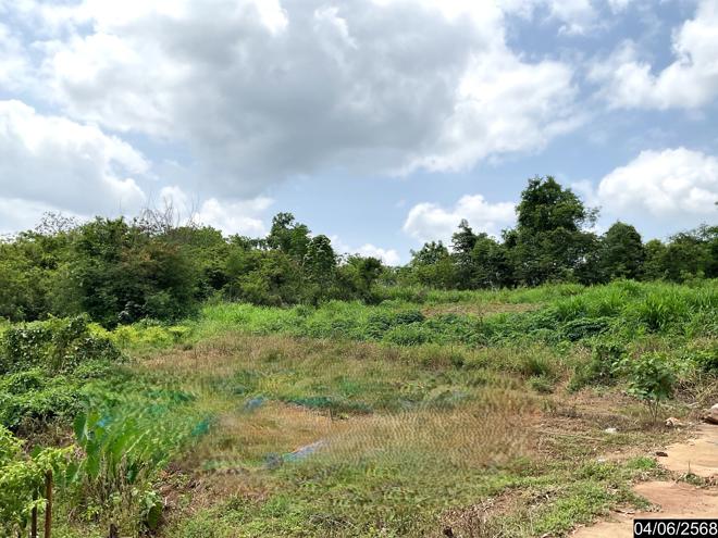 รูป ที่ดินว่างเปล่า สำหรับขาย - นาดินดำ เมืองเลย เลย - รูปที่ 7/18