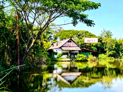 Houses for sale Mae Rim Chiang Mai : HOME for sale  Sa Luang Mae Rim Chiang Mai