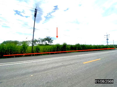 ที่ดิน เลย : ที่ดินว่างเปล่า สำหรับขาย  เอราวัณ เอราวัณ เลย