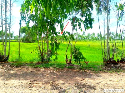 Land for sale Maha Chana Chai Yasothon : LAND for sale  Khu Muang Maha Chana Chai Yasothon