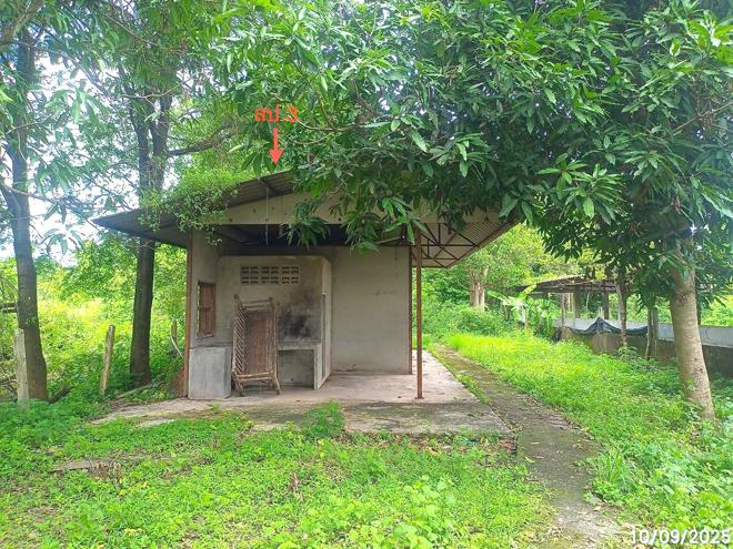 picture FACTORY for sale Pa Mong Det Udom Ubon Ratchathani - 10/38