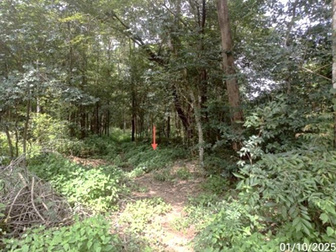 รูป ที่ดินว่างเปล่า สำหรับขาย - แกดำ แกดำ มหาสารคาม - รูปที่ 5/20