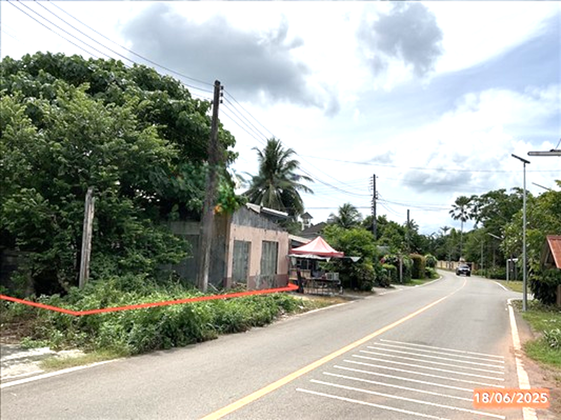 รูป ที่ดินว่างเปล่า สำหรับขาย - โคกหล่อ เมืองตรัง ตรัง - รูปที่ 5/10