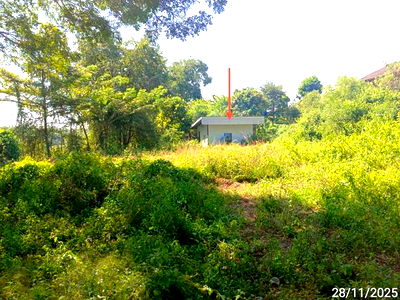 Houses for sale : HOME for sale  Khane Chu Mae Ramat Tak