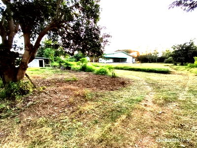 โรงงาน ตาก : อาคารโรงงาน สำหรับขาย - ย่านรี สามเงา ตาก