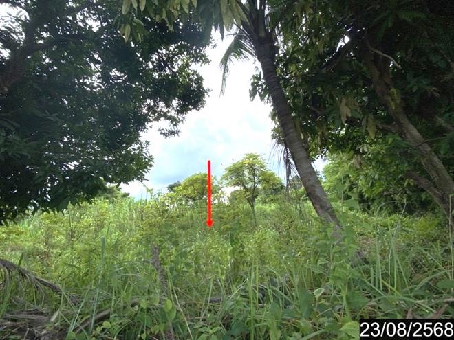 picture LAND for sale Kham Khok Sung Wang Sam Mo Udon Thani - 6/24