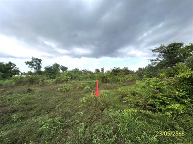 picture LAND for sale  Bung Wai Warin Chamrap Ubon Ratchathani - 2/14
