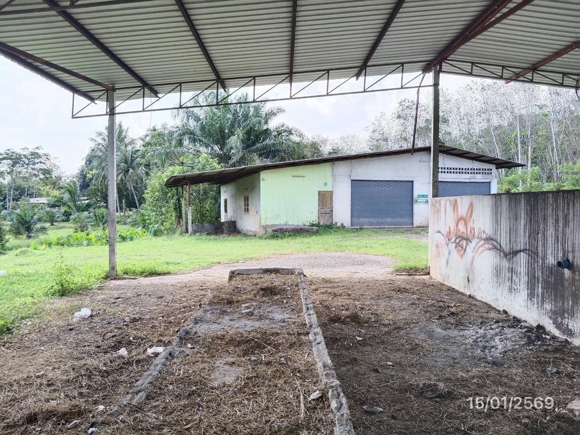 รูป บ้านเดี่ยว สำหรับขาย - โคกม่วง เขาชัยสน พัทลุง - รูปที่ 35/44