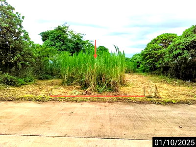 Land for sale Map ammarit Hospital : LAND for sale  Tha Sae Tha Sae Chumphon
