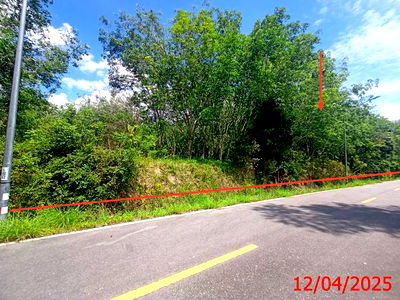 Land for sale Na Thawi Songkhla : LAND for sale  Na Thawi Na Thawi Songkhla