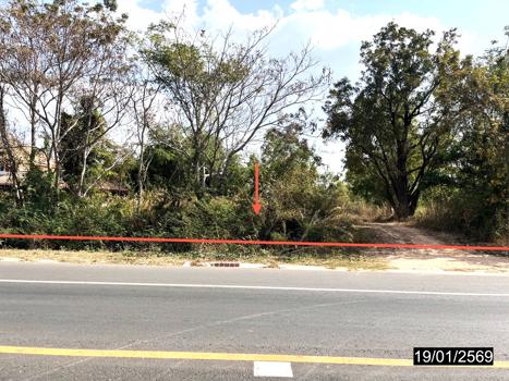 รูป ที่ดินว่างเปล่า สำหรับขาย - นามน นามน กาฬสินธุ์ - รูปที่ 15/18