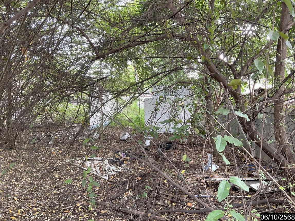 รูป ที่ดินว่างเปล่า สำหรับขาย - บ้านเป็ด เมืองขอนแก่น ขอนแก่น - รูปที่ 8/18