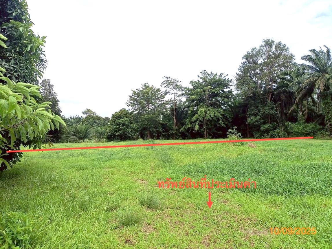 รูป ที่ดินว่างเปล่า สำหรับขาย - เหนือคลอง เหนือคลอง กระบี่ - รูปที่ 14/24