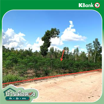 picture LAND for sale  Nong Phai Nong Han Udon Thani - 22/24