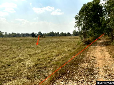 Land for sale Buri Ram : LAND for sale  Pang Ku Prakhon Chai Buri Ram