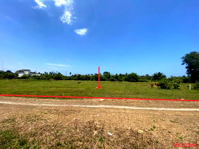 ที่ดิน จะนะ สงขลา : ที่ดินว่างเปล่า สำหรับขาย - บ้านนา จะนะ สงขลา