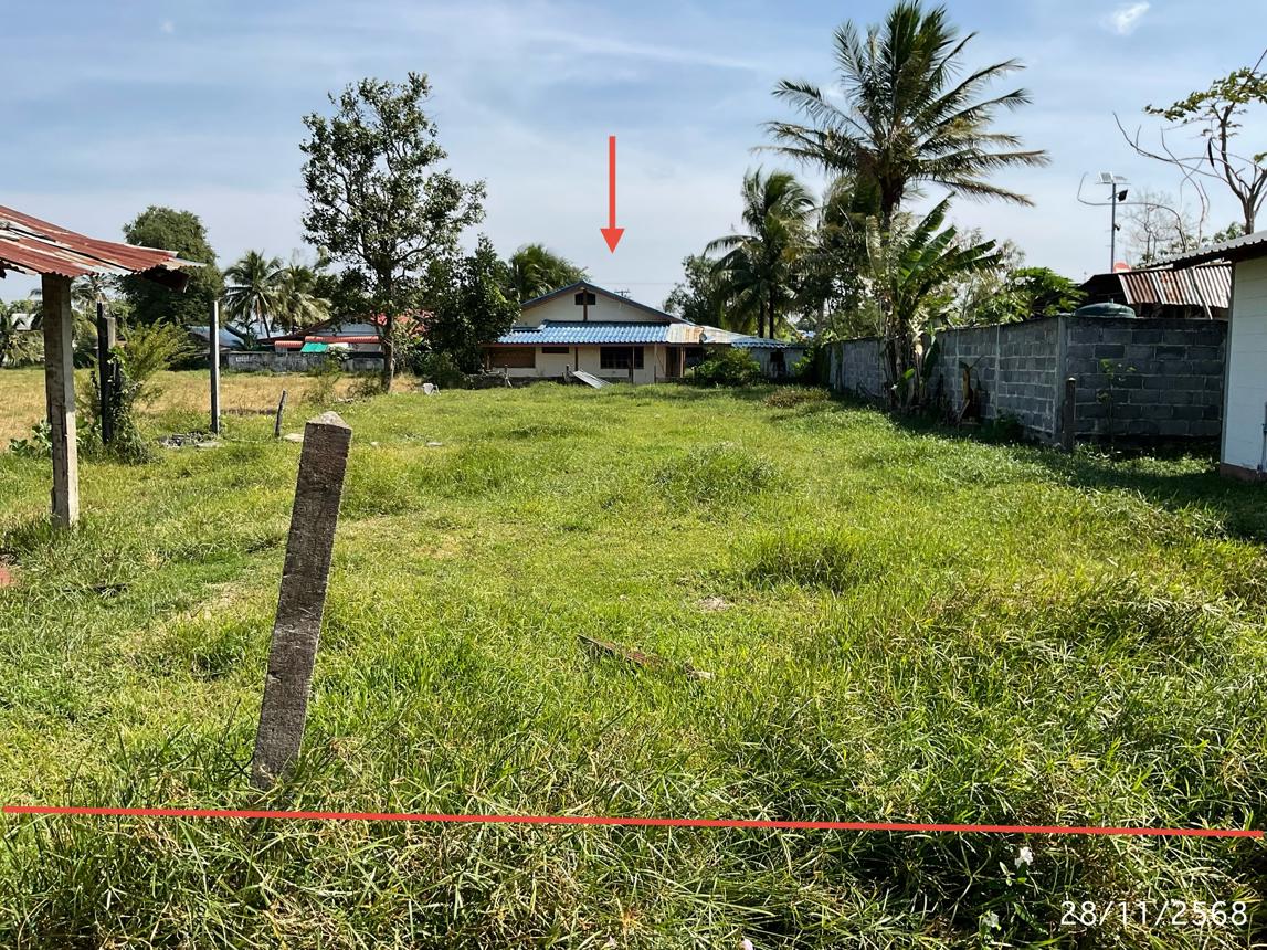 รูป บ้านเดี่ยว สำหรับขาย - ดุมใหญ่ ม่วงสามสิบ อุบลราชธานี - รูปที่ 16/32