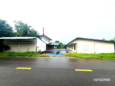 Houses for sale Phichit : HOME for sale  Nong Lum Wachirabarami Phichit