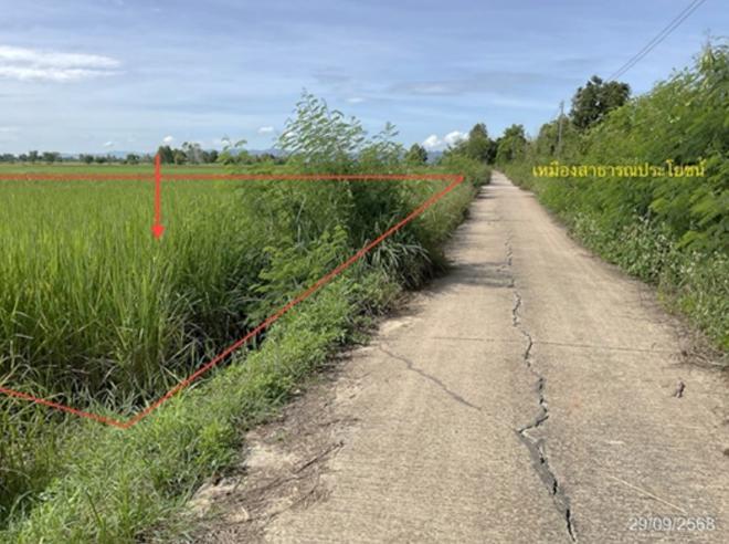 picture LAND for sale  Thung Ruang Thong Chun Phayao - 7/18