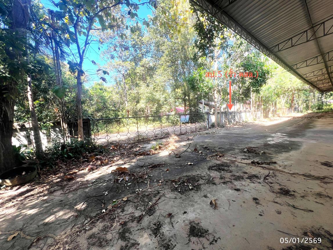 รูป บ้านเดี่ยว สำหรับขาย - เขื่องคำ เมืองยโสธร ยโสธร - รูปที่ 28/32