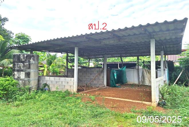 picture HOME for sale  Nam Cho Mae Tha Lamphang - 7/28