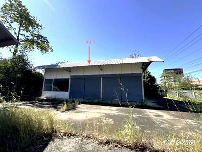 Factory for sale Si Sa Ket : FACTORY for sale  Ya Plong Muang Si Sa Ket Si Sa Ket