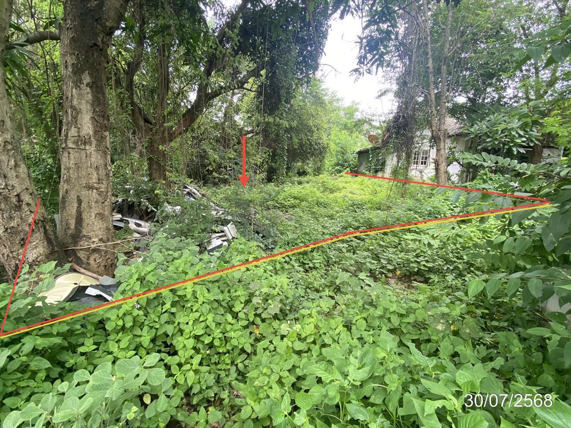 รูป ที่ดินว่างเปล่า สำหรับขาย - กู่ทอง เชียงยืน มหาสารคาม - รูปที่ 9/20