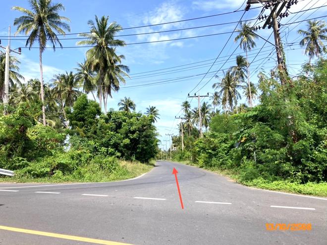 รูป ที่ดินว่างเปล่า สำหรับขาย - ดอนสัก ดอนสัก สุราษฎร์ธานี - รูปที่ 8/20