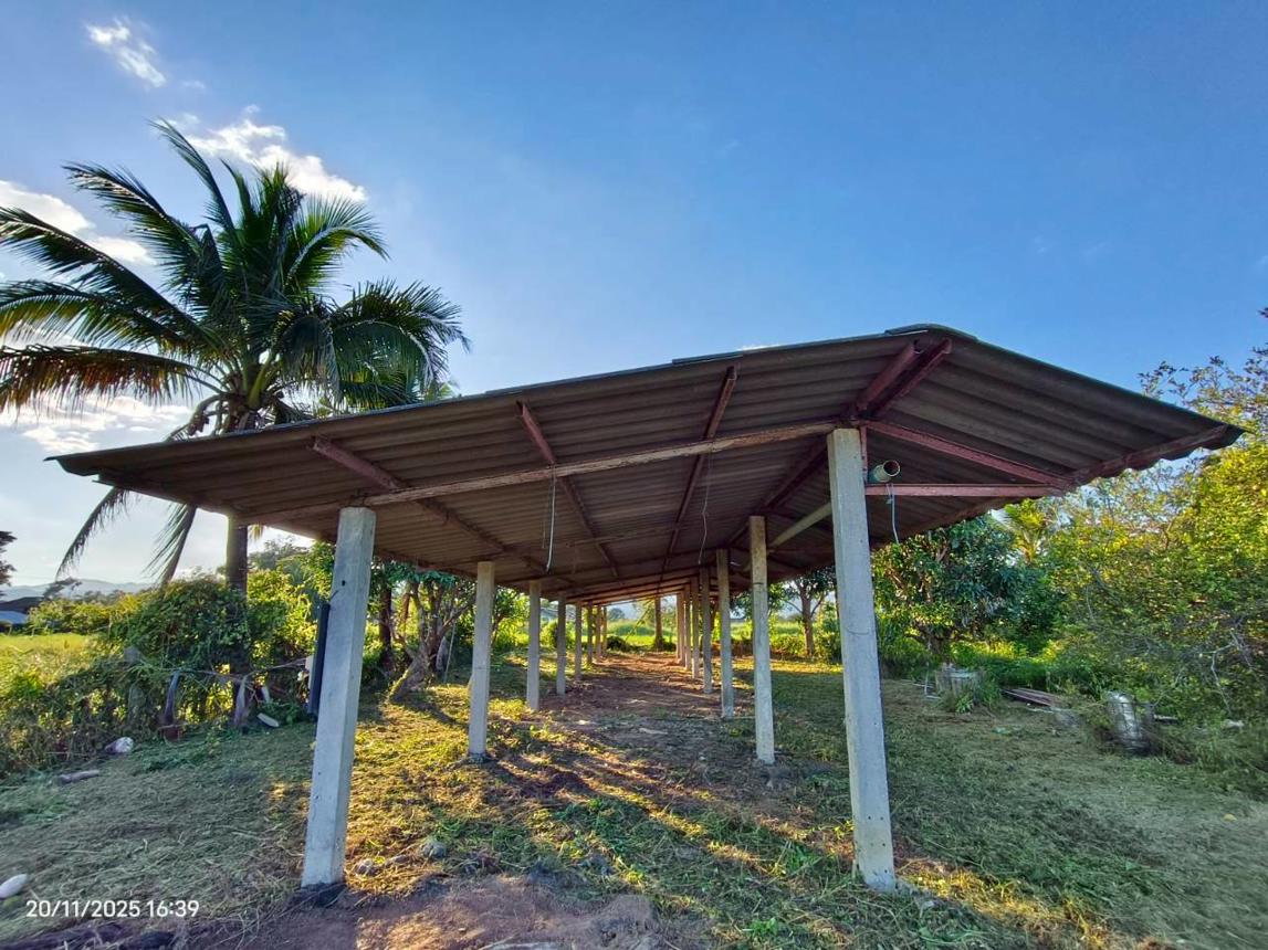 picture HOME for sale Muang Phan Phan Chiang Rai - 51/56