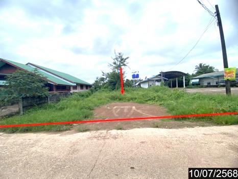 รูป ที่ดินว่างเปล่า สำหรับขาย - โนนสมบูรณ์ เมืองบึงกาฬ บึงกาฬ - รูปที่ 9/12