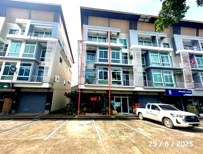 อาคารพาณิชย์ เชียงใหม่ : อาคารพาณิชย์ สำหรับขาย บิสพอยท์ 1 ท่าศาลา เมืองเชียงใหม่ เชียงใหม่