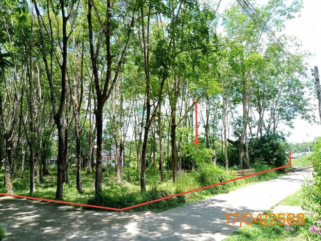 picture LAND for sale  Ko Yao Noi Ko Yao Phangnga - 2/20