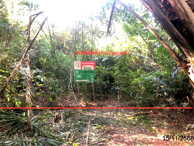 Land for sale Surat Thani : LAND for sale  Khunthale Muang Surat Thani Surat Thani