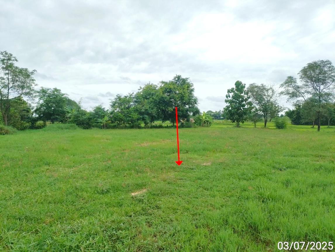 รูป ที่ดินว่างเปล่า สำหรับขาย - เชียงยืน เชียงยืน มหาสารคาม - รูปที่ 10/14