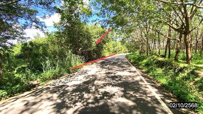 รูป ที่ดินว่างเปล่า สำหรับขาย - บึงกาฬ เมืองบึงกาฬ บึงกาฬ - รูปที่ 5/18