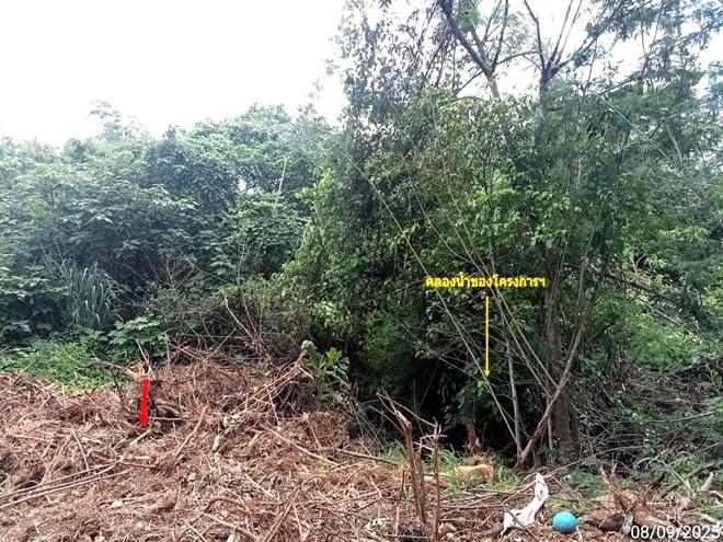 รูป ที่ดินว่างเปล่า สำหรับขาย ภูริพิมาน ปากช่อง ปากช่อง นครราชสีมา - รูปที่ 6/20
