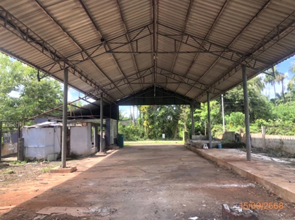 รูป โกดัง สำหรับขาย - วัดประดู่ เมืองสุราษฎร์ธานี สุราษฎร์ธานี - รูปที่ 11/18