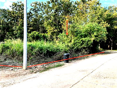 Land for sale Muang Loei Loei : LAND for sale  Na O Muang Loei Loei