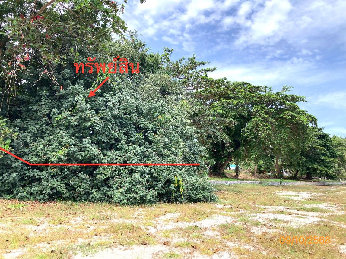 รูป ที่ดินว่างเปล่า สำหรับขาย - ดอนสัก ดอนสัก สุราษฎร์ธานี - รูปที่ 15/24