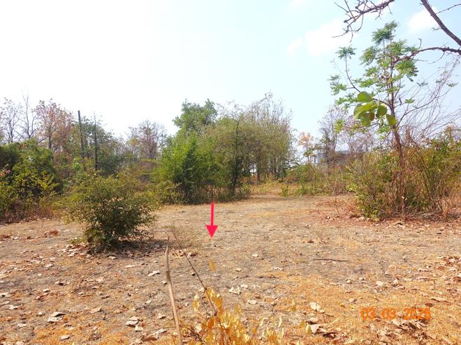 รูป ที่ดินว่างเปล่า สำหรับขาย - อิสาณ เมืองบุรีรัมย์ บุรีรัมย์ - รูปที่ 5/14