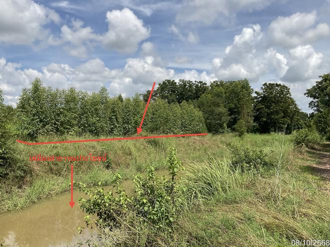 รูป ที่ดินว่างเปล่า สำหรับขาย - หนองมะโมง หนองมะโมง ชัยนาท - รูปที่ 9/24