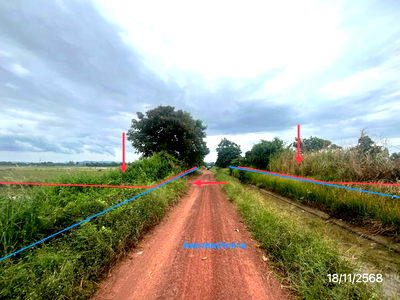 Land for sale Phitsanulok : LAND for sale  Wang Phikun Wang Thong Phitsanulok