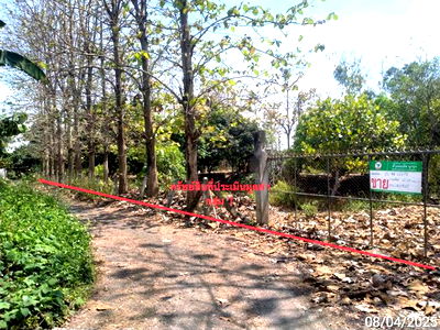 Land for sale San Pa Tong Chiang Mai : LAND for sale  Yu Wa San Pa Tong Chiang Mai