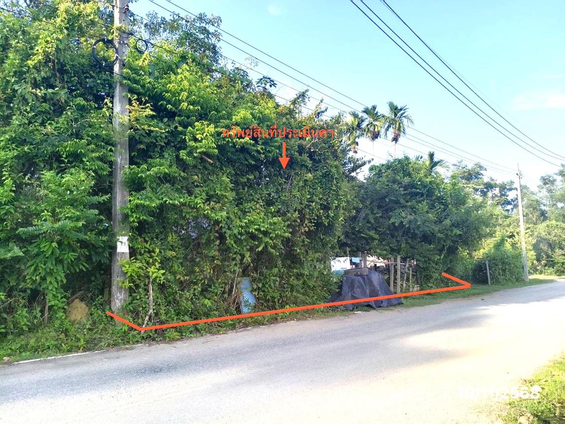 รูป ที่ดินว่างเปล่า สำหรับขาย - ควนลัง หาดใหญ่ สงขลา - รูปที่ 7/14